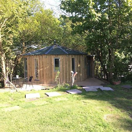 The Roundhouse - Unique Space Nestled In The Trees Begelly Экстерьер фото